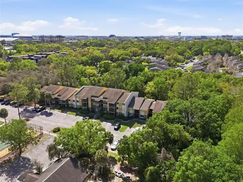 13285 Arbor Pointe Circle Tampa FL 33617