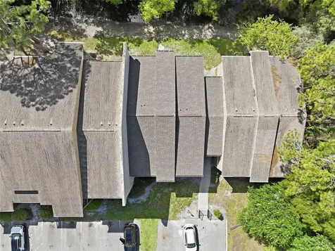 13285 Arbor Pointe Circle Tampa FL 33617