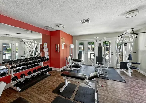 13285 Arbor Pointe Circle Tampa FL 33617
