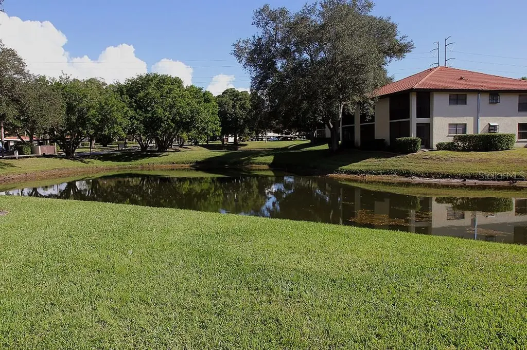 704 Hammock Pine Boulevard Clearwater FL 33761