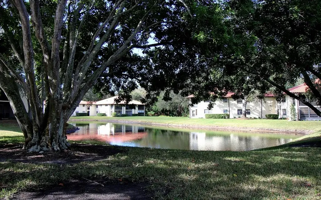 704 Hammock Pine Boulevard Clearwater FL 33761