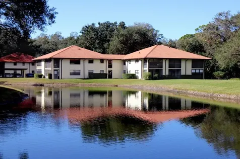 704 Hammock Pine Boulevard Clearwater FL 33761