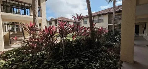 704 Hammock Pine Boulevard Clearwater FL 33761