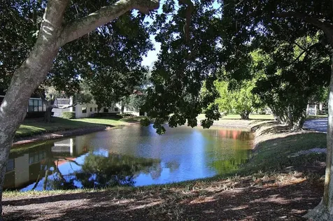 704 Hammock Pine Boulevard Clearwater FL 33761