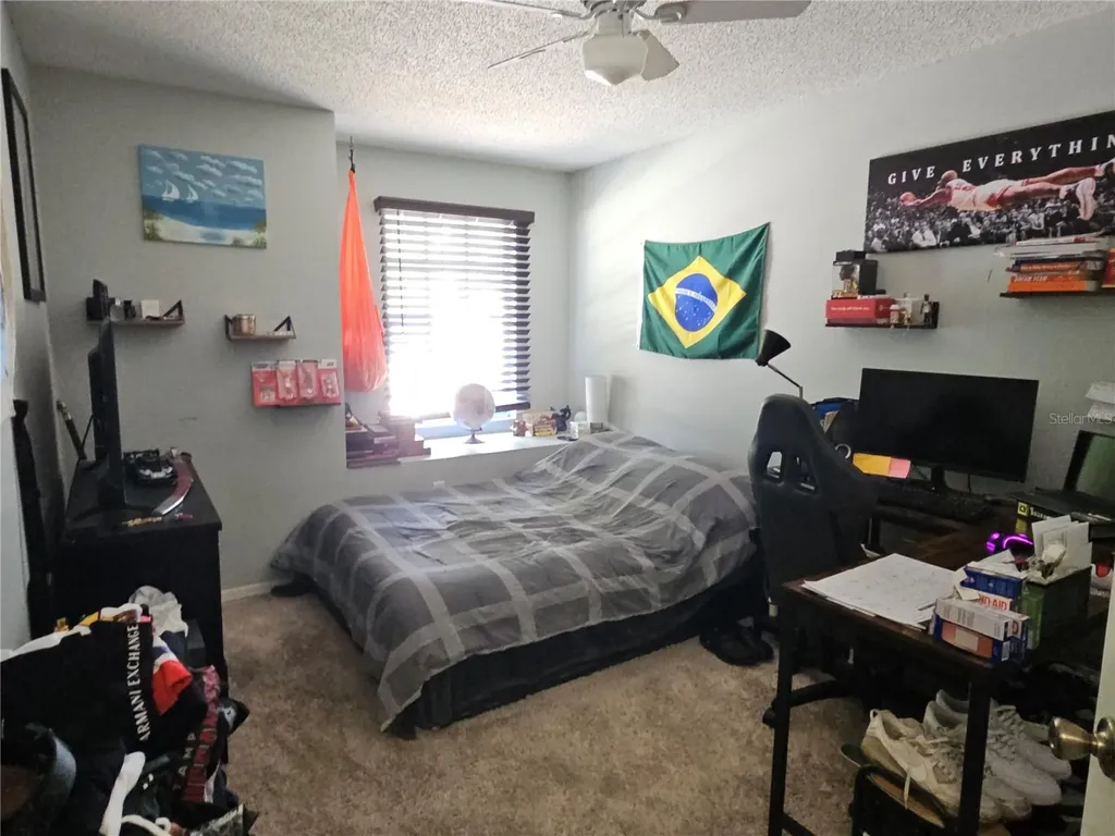 2952 Shannon Circle Palm Harbor FL 34684