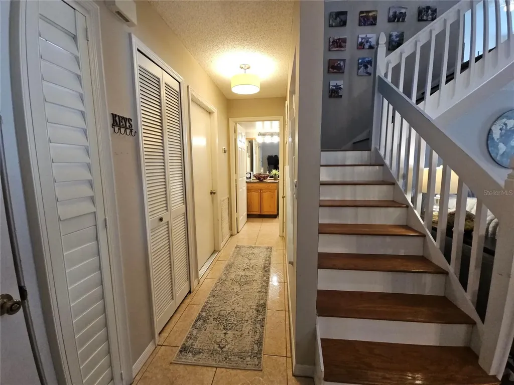 2952 Shannon Circle Palm Harbor FL 34684