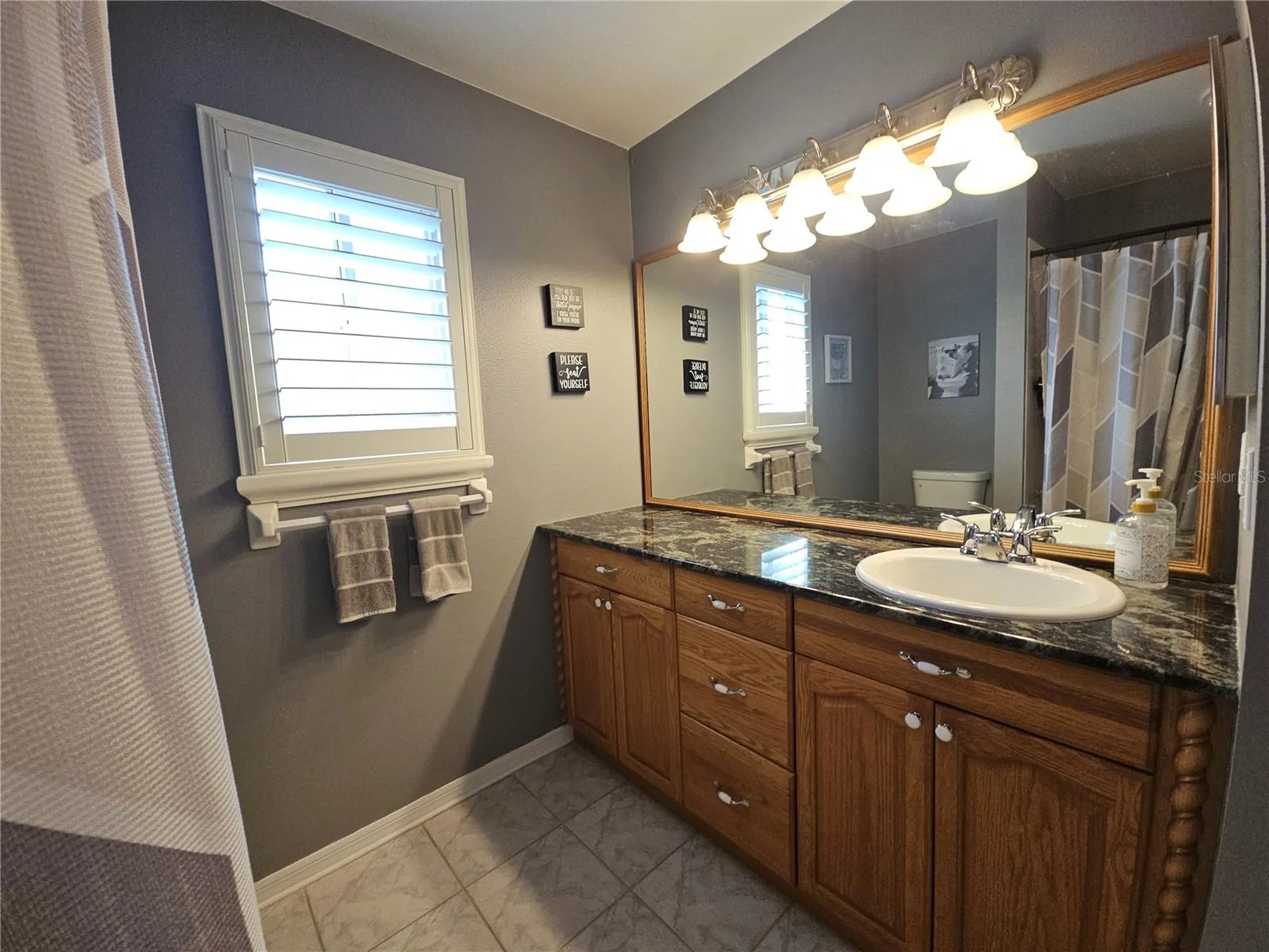 2952 Shannon Circle Palm Harbor FL 34684