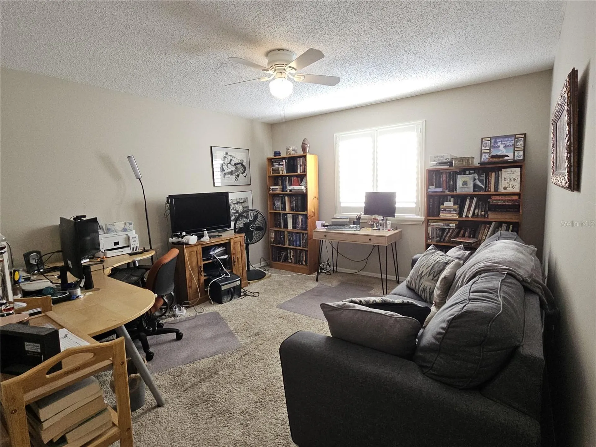 2952 Shannon Circle Palm Harbor FL 34684