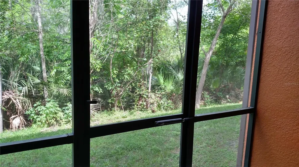 30105 Mossbank Drive Wesley Chapel FL 33543