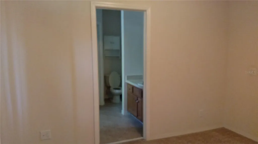 30105 Mossbank Drive Wesley Chapel FL 33543