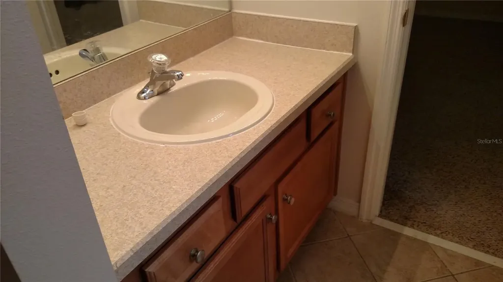 30105 Mossbank Drive Wesley Chapel FL 33543