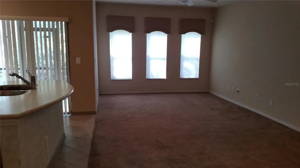 30105 Mossbank Drive Wesley Chapel FL 33543