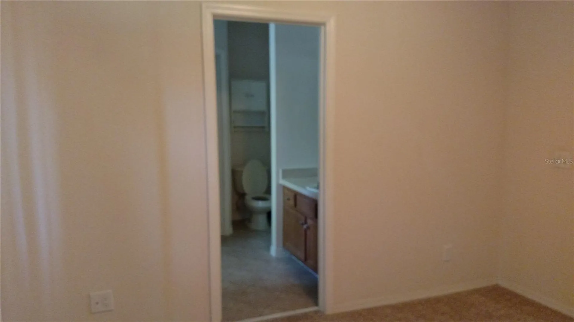 30105 Mossbank Drive Wesley Chapel FL 33543