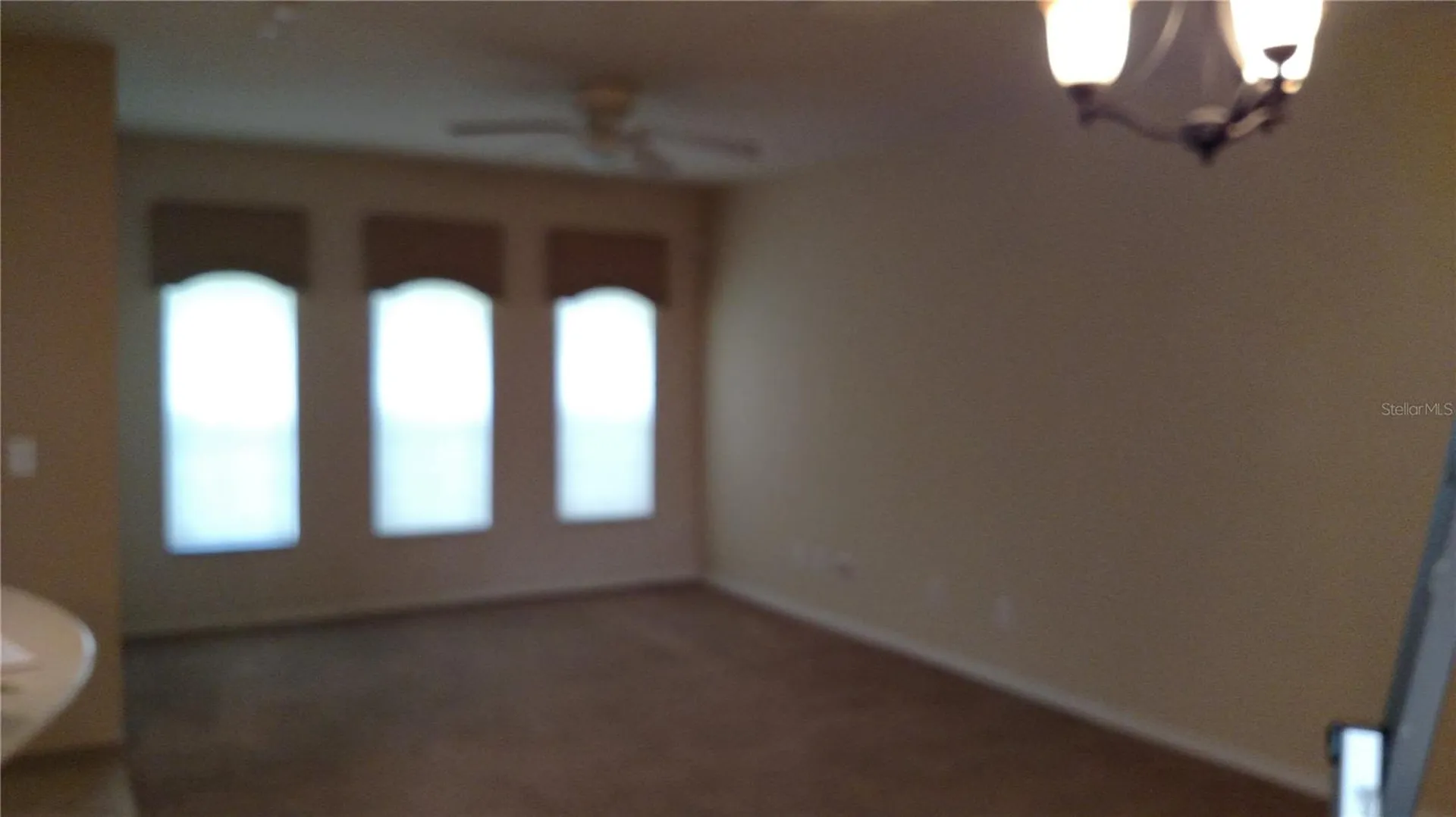 30105 Mossbank Drive Wesley Chapel FL 33543