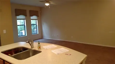 30105 Mossbank Drive Wesley Chapel FL 33543