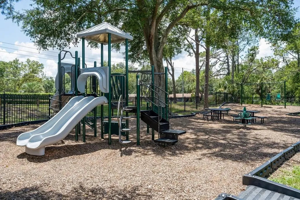 325 Magnolia Street Windermere FL 34786