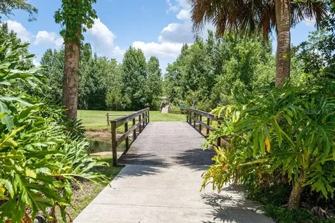325 Magnolia Street Windermere FL 34786