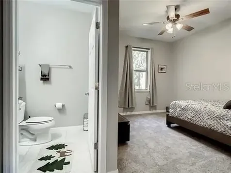 6402 Yellow Buckeye Drive Riverview FL 33578