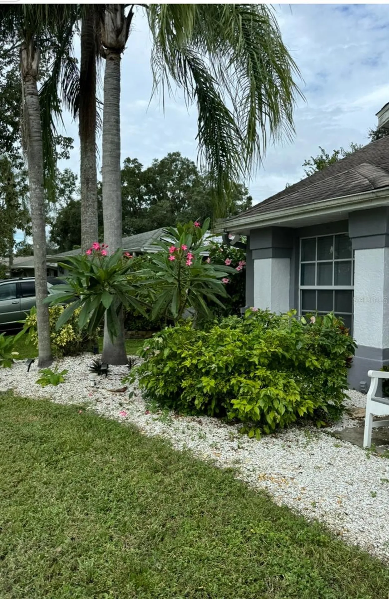 2900 Lake Saxon Drive Land O Lakes FL 34639