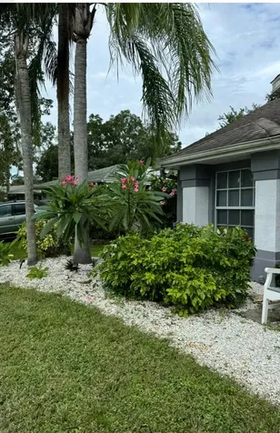2900 Lake Saxon Drive Land O Lakes FL 34639