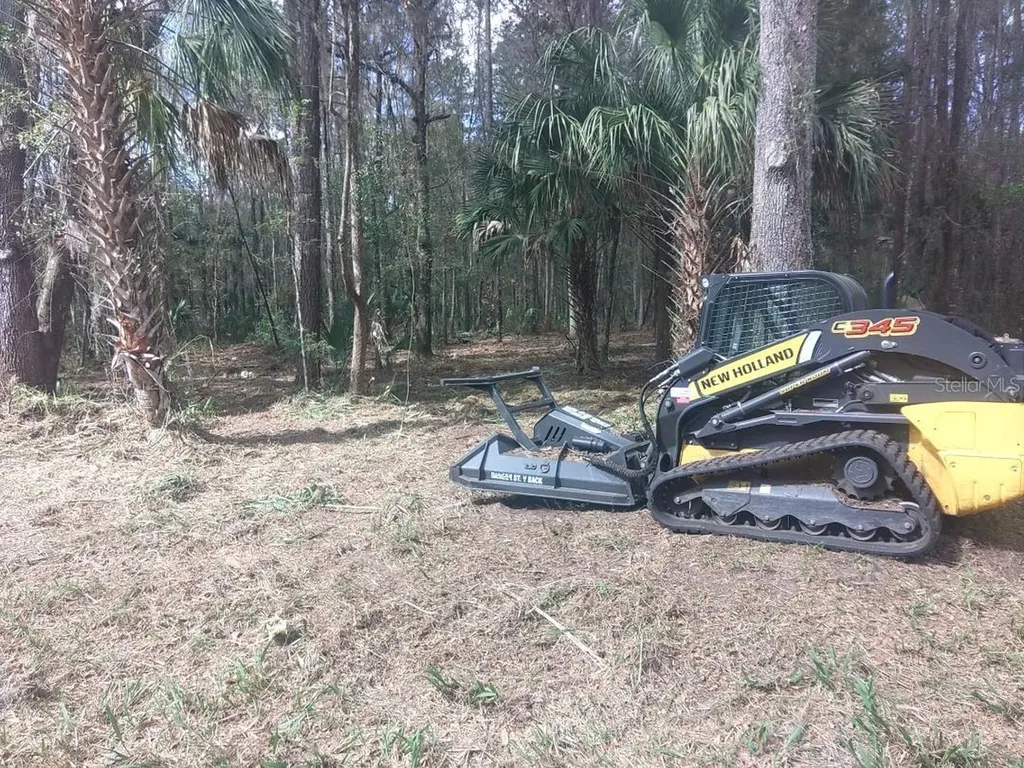 18954 County Road 329 Micanopy FL 32667