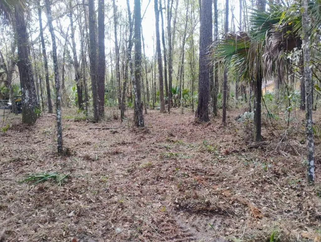 18954 County Road 329 Micanopy FL 32667
