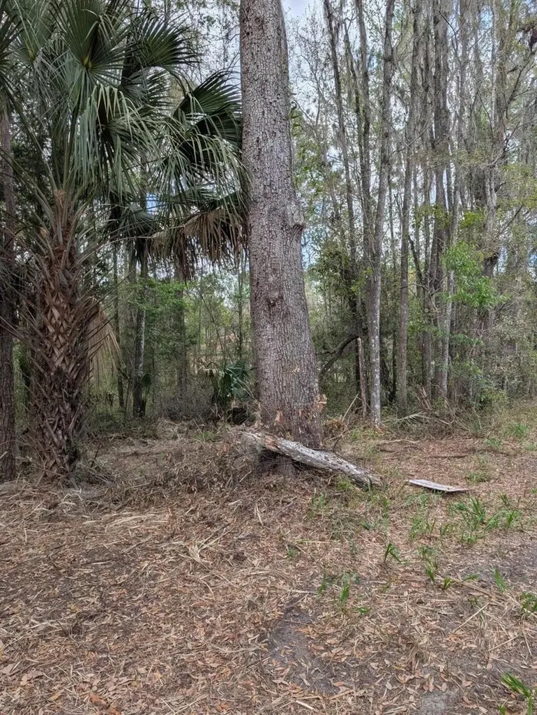 18954 County Road 329 Micanopy FL 32667