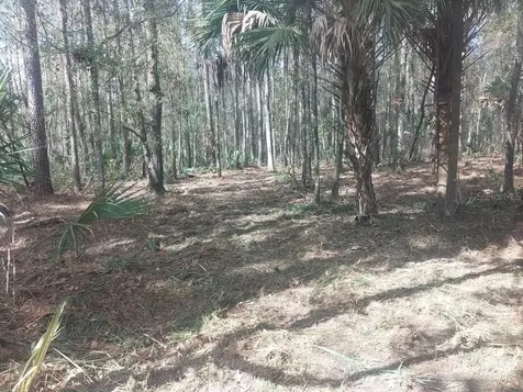 18954 County Road 329 Micanopy FL 32667