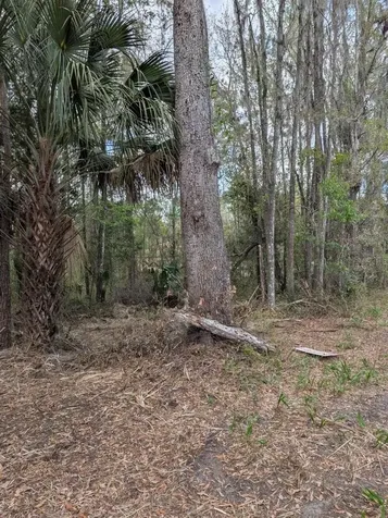 18954 County Road 329 Micanopy FL 32667