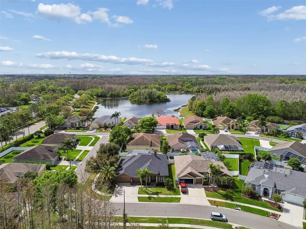 17906 Sparrows Nest Drive Lutz FL 33558