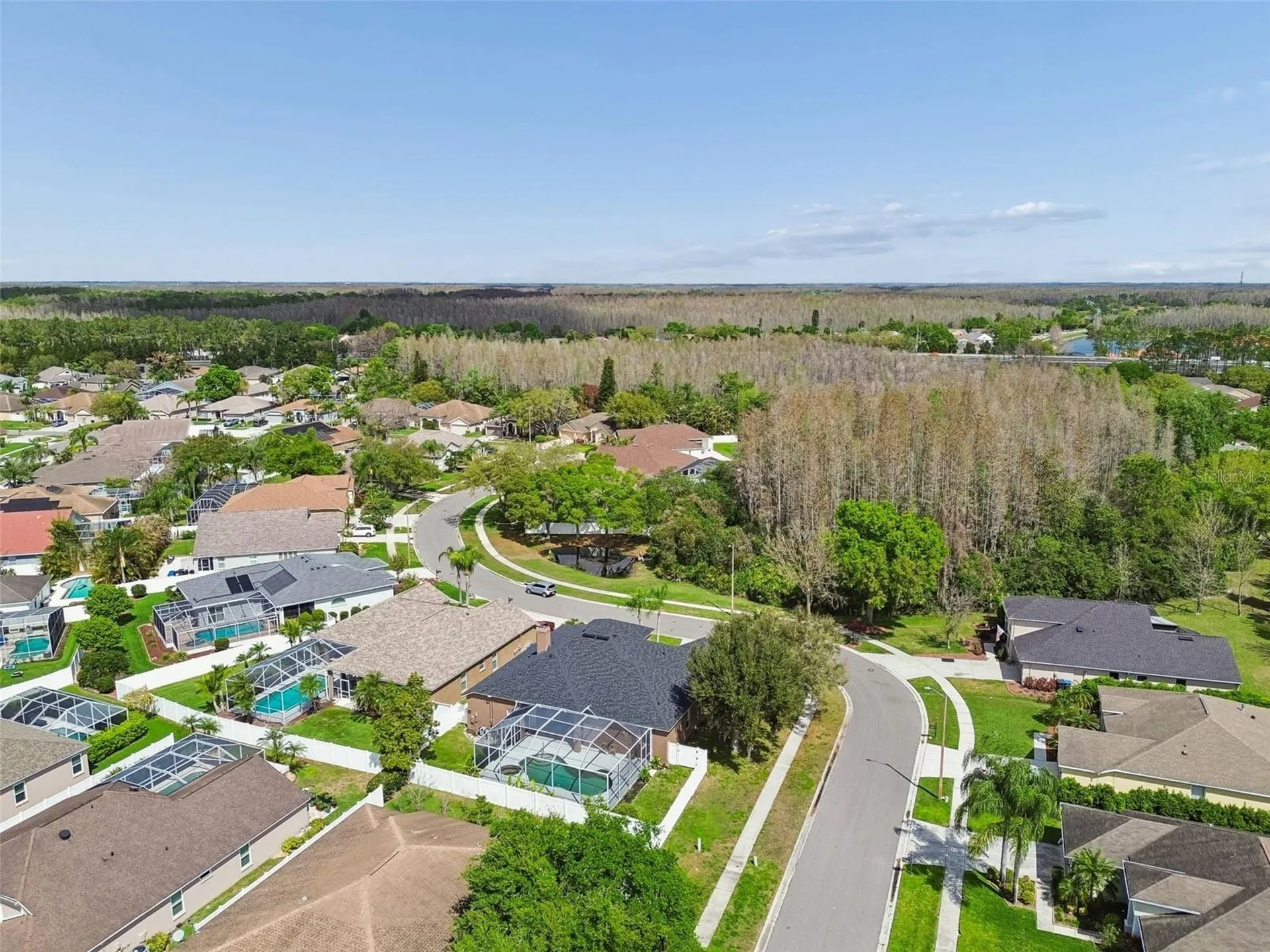 17906 Sparrows Nest Drive Lutz FL 33558