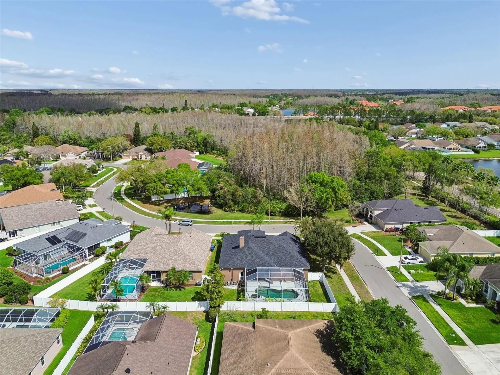 17906 Sparrows Nest Drive Lutz FL 33558