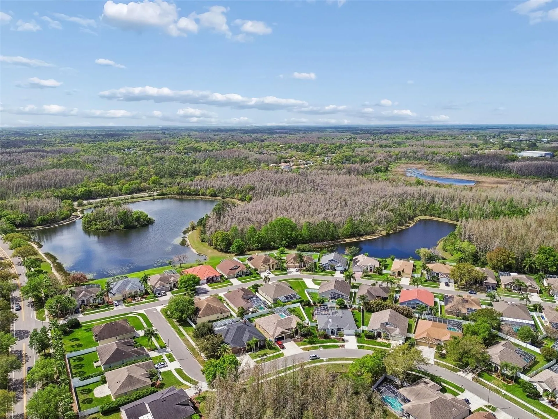 17906 Sparrows Nest Drive Lutz FL 33558