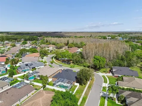 17906 Sparrows Nest Drive Lutz FL 33558