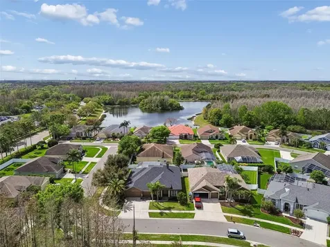 17906 Sparrows Nest Drive Lutz FL 33558