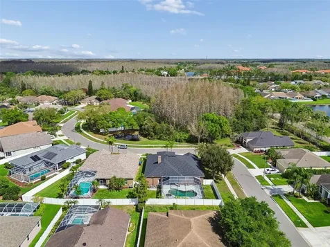 17906 Sparrows Nest Drive Lutz FL 33558