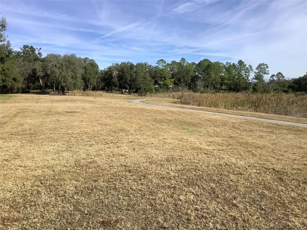34433 Cedarfield Drive Dade City FL 33523