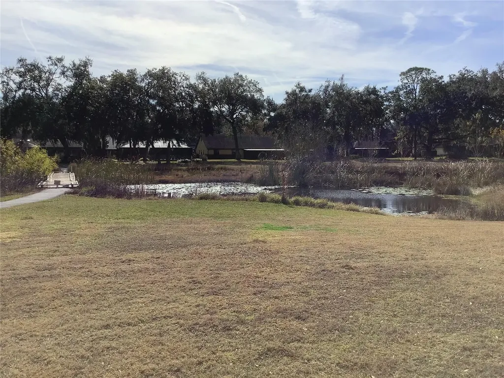 34433 Cedarfield Drive Dade City FL 33523