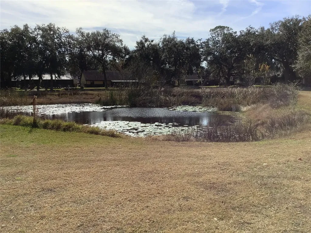 34433 Cedarfield Drive Dade City FL 33523