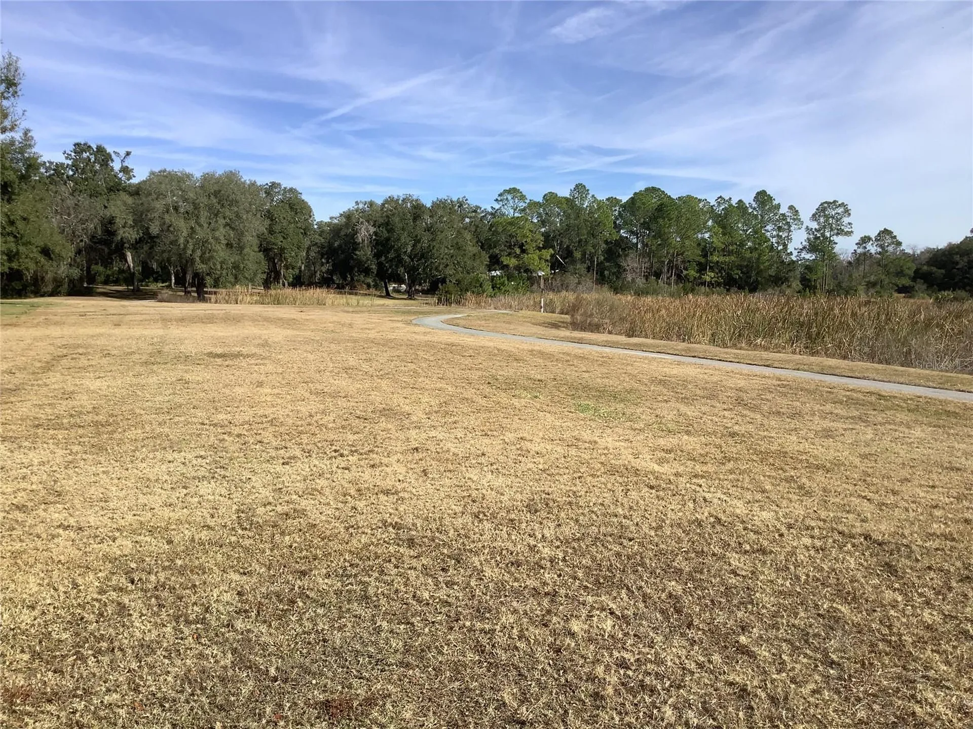 34433 Cedarfield Drive Dade City FL 33523