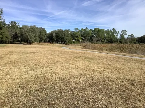 34433 Cedarfield Drive Dade City FL 33523