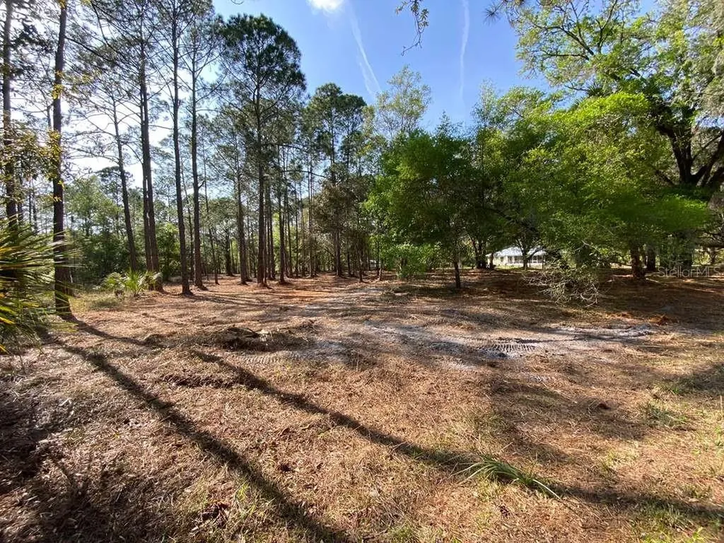 7756 N Shillelagh Avenue Crystal River FL 34428