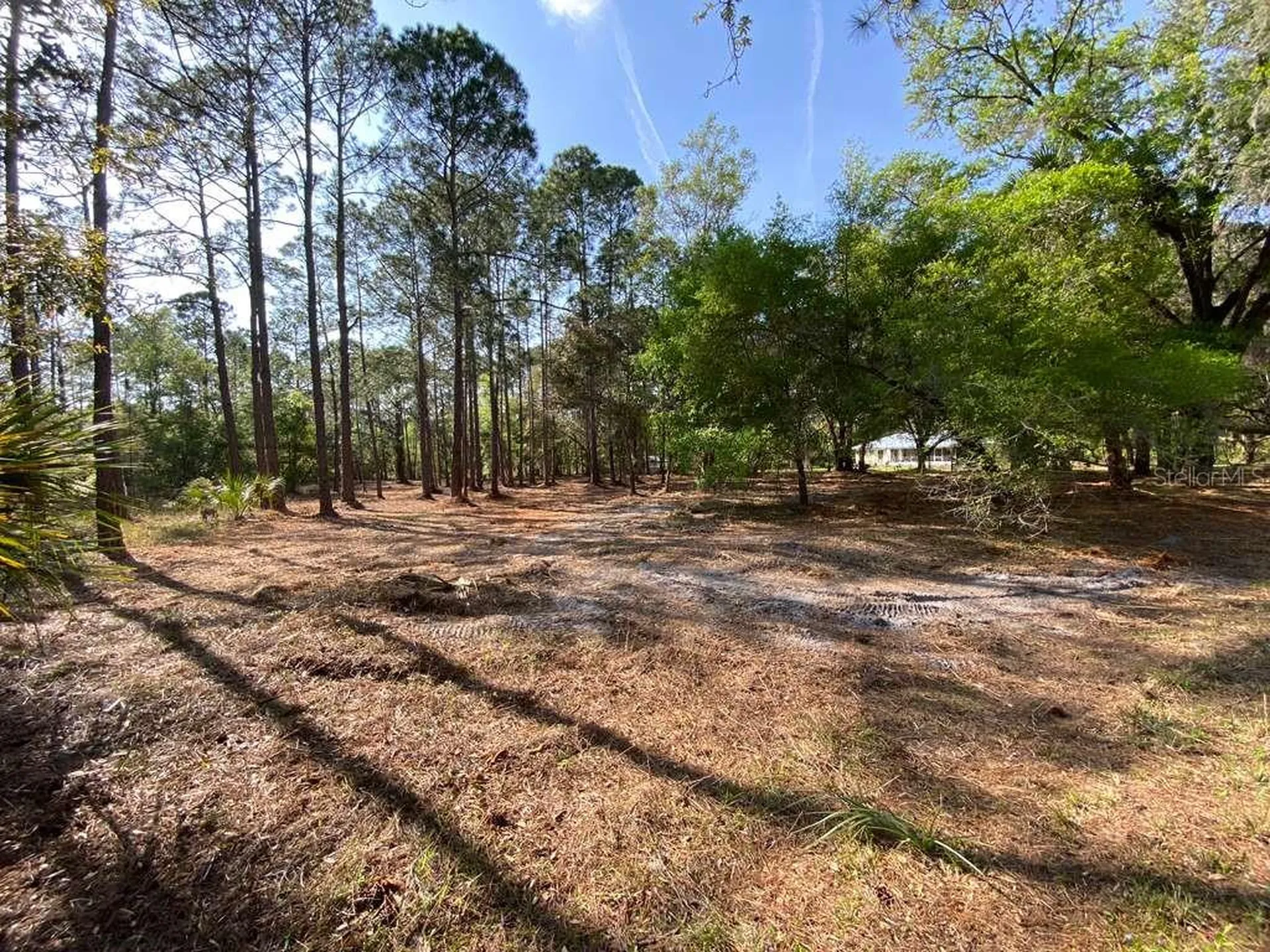 7756 N Shillelagh Avenue Crystal River FL 34428