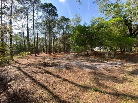 7756 N Shillelagh Avenue Crystal River FL 34428