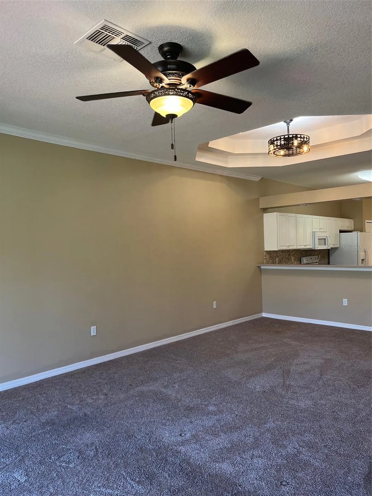 20721 Eustis Road Land O Lakes FL 34637