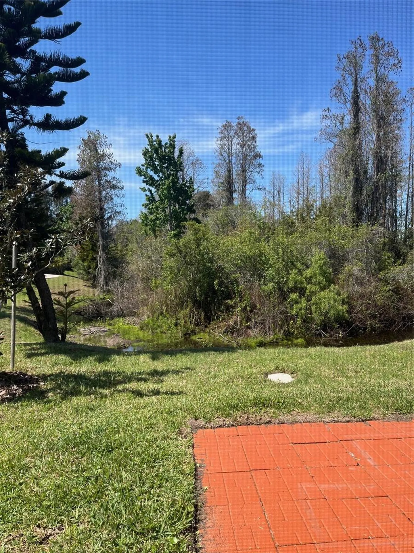 20721 Eustis Road Land O Lakes FL 34637