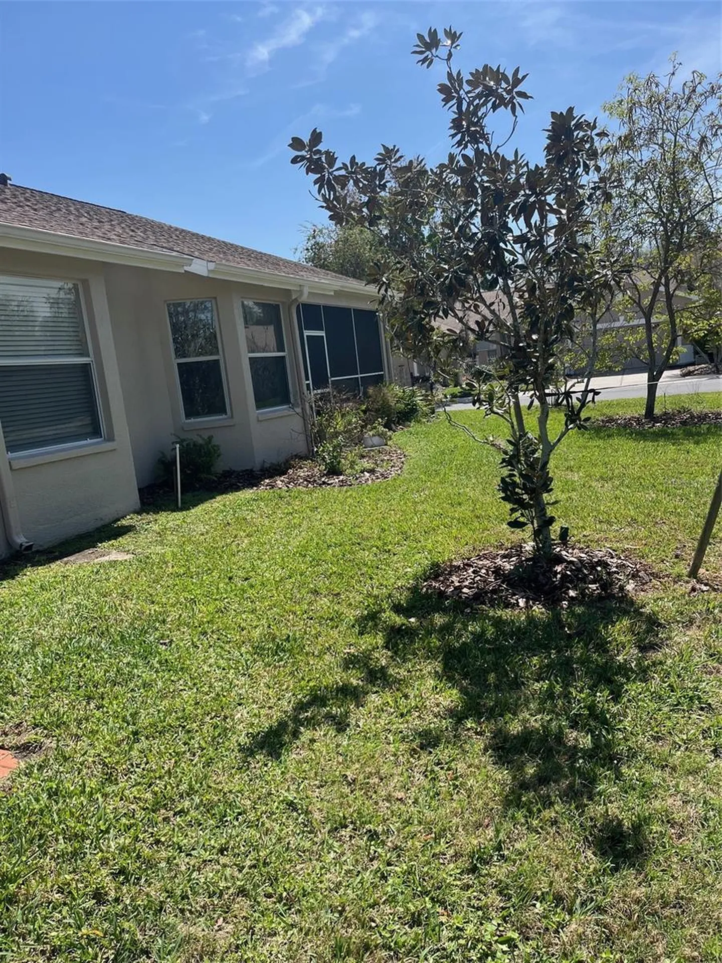 20721 Eustis Road Land O Lakes FL 34637