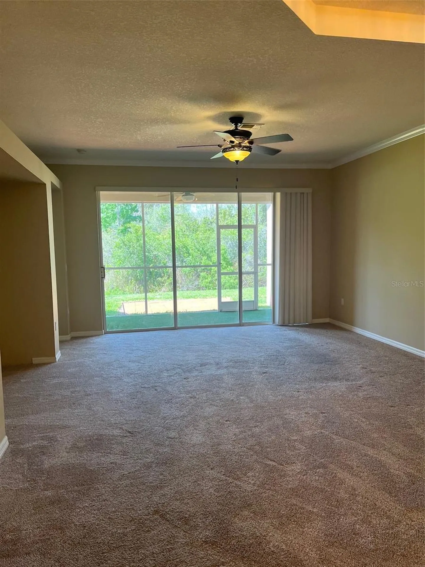20721 Eustis Road Land O Lakes FL 34637