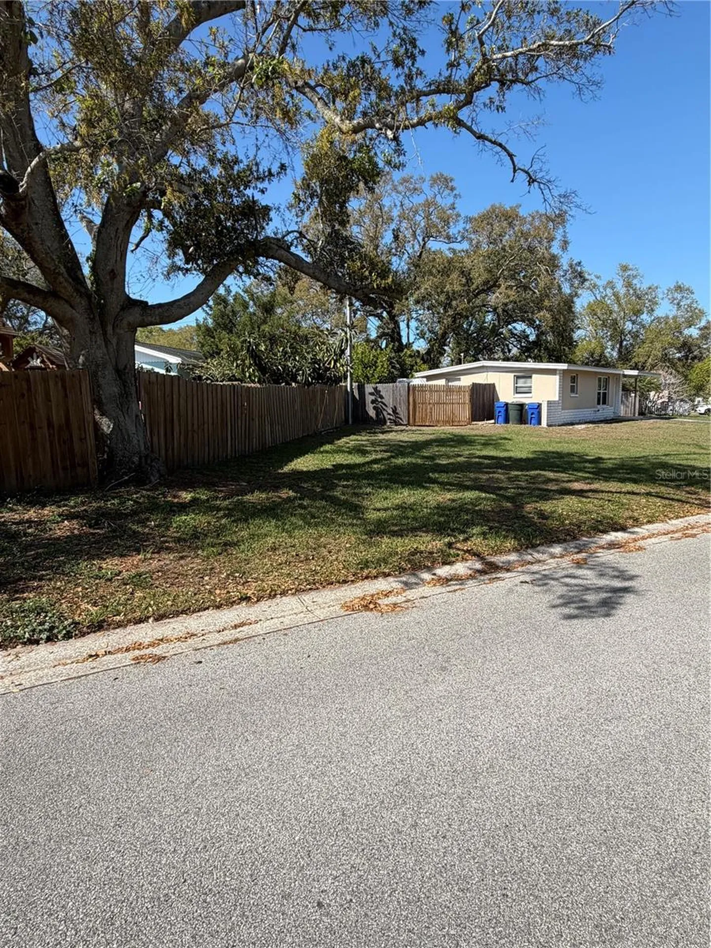 972 Cedarwood Avenue Dunedin FL 34698
