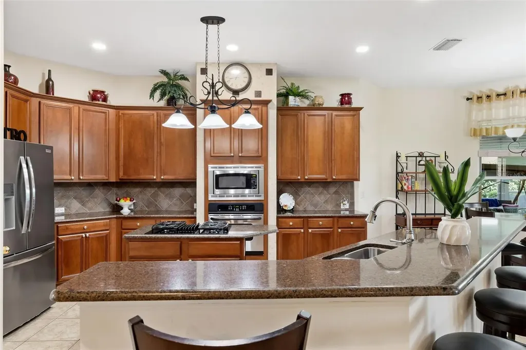 19737 Prince Benjamin Drive Lutz FL 33549